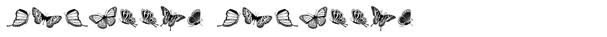 Papillon Papillon image